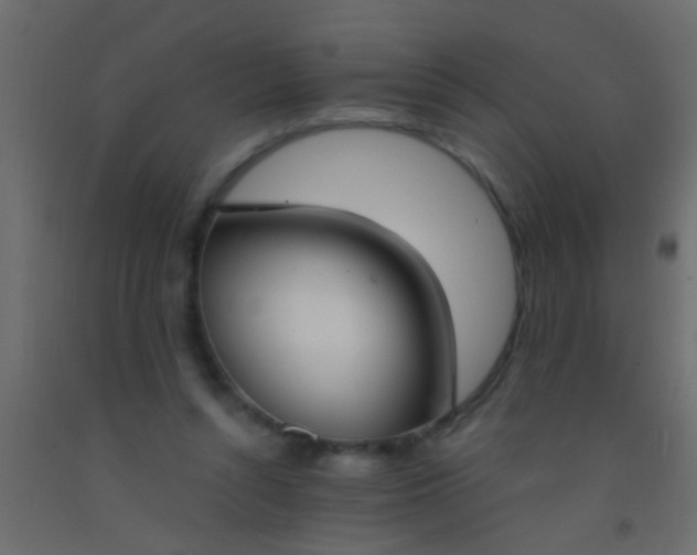 X0000093090352200710101522