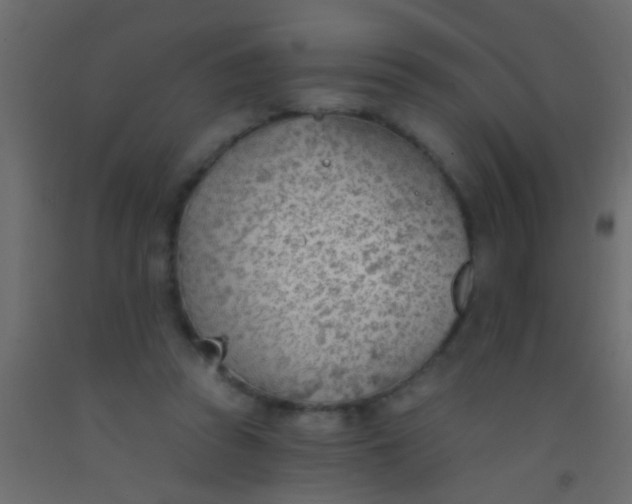 X0000093090353200710101522