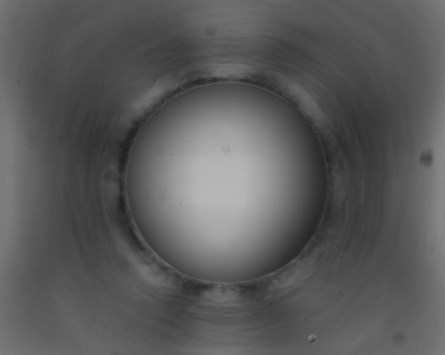 X0000093090354200710101522