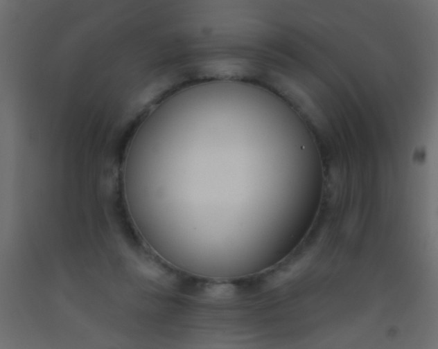 X0000093090355200710101522