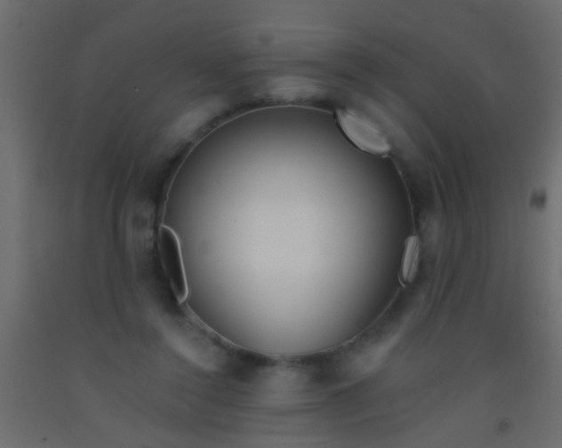 X0000093090356200710101522