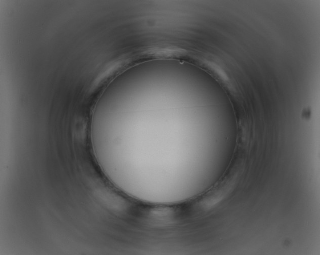 X0000093090357200710101522