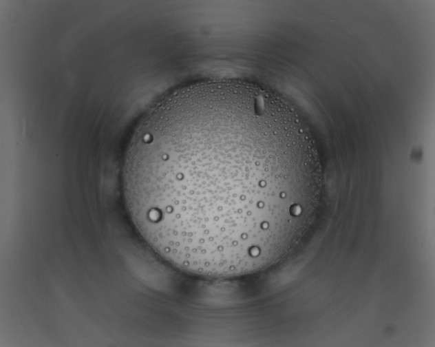 X0000093090359200710101522