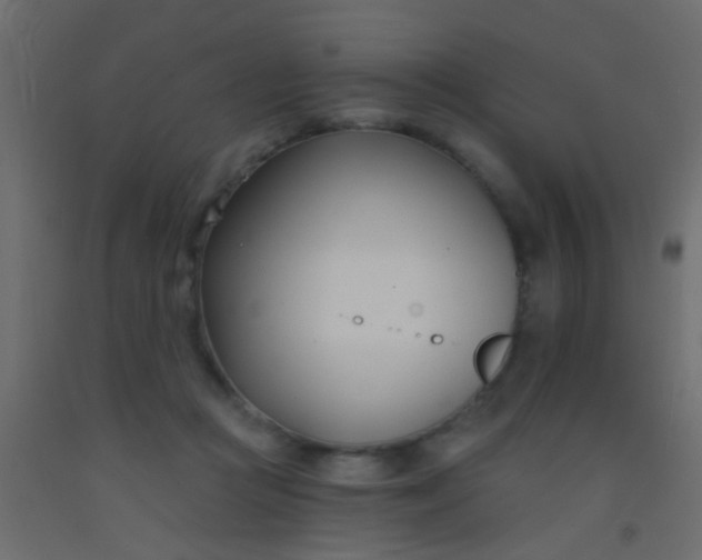 X0000093090361200710101522