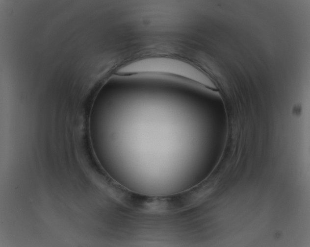 X0000093090362200710101522