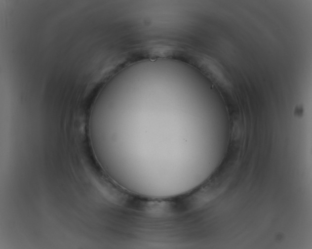 X0000093090363200710101522