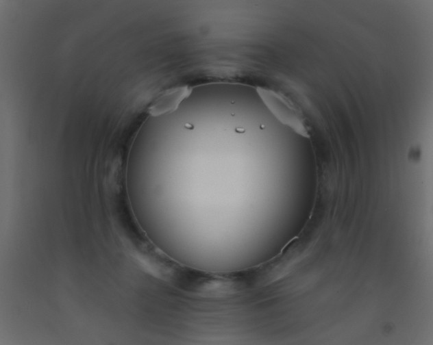 X0000093090364200710101522