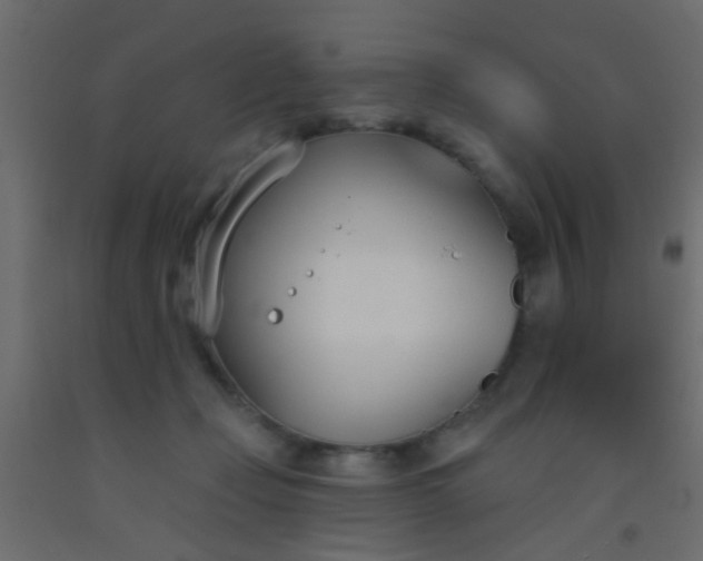 X0000093090365200710101522