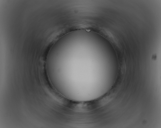 X0000093090366200710101522