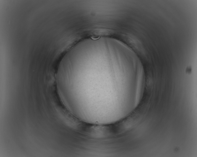 X0000093090367200710101522