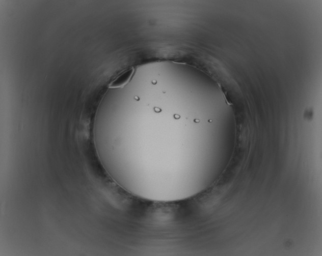 X0000093090368200710101522