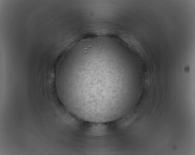 X0000093090369200710101522