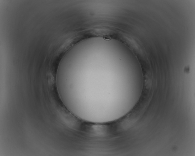 X0000093090371200710101522