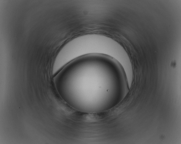 X0000093090372200710101522