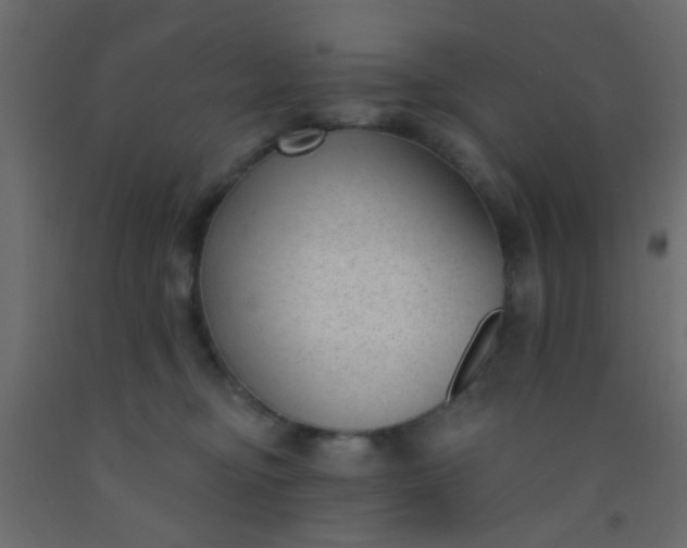 X0000093090374200710101522