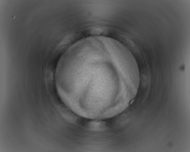 X0000093090375200710101522