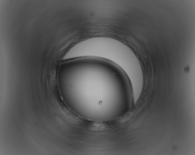 X0000093090376200710101522