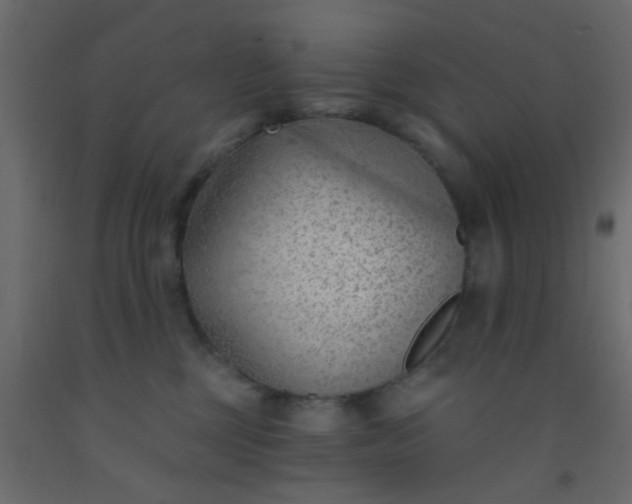 X0000093090377200710101522