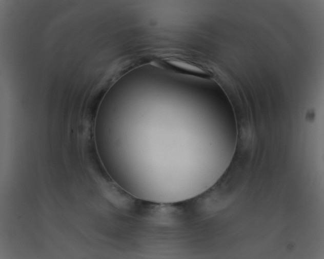 X0000093090379200710101522