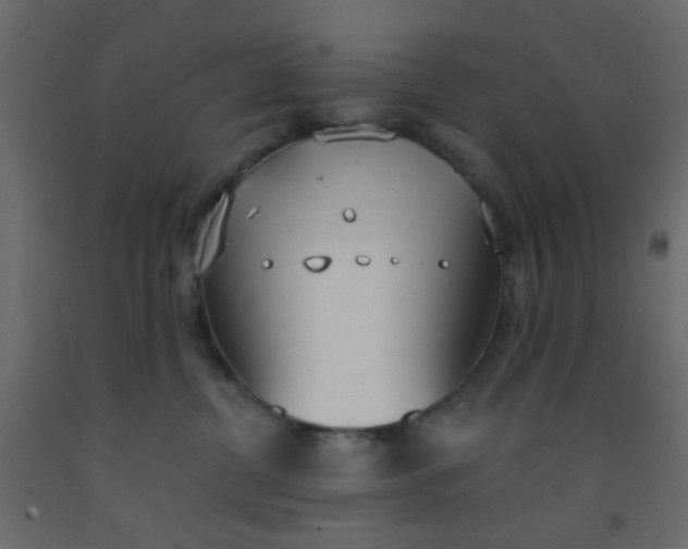 X0000093090380200710101522