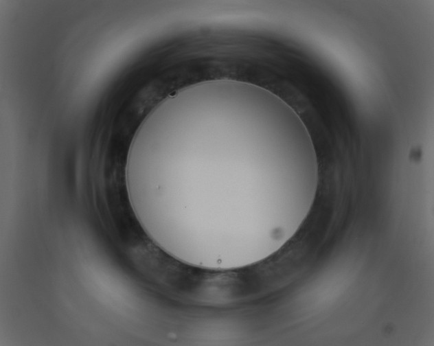 X0000093090382200710101522