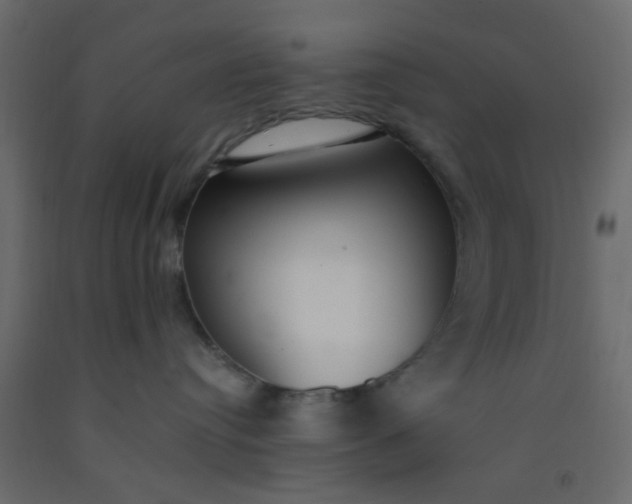 X0000093090384200710101522