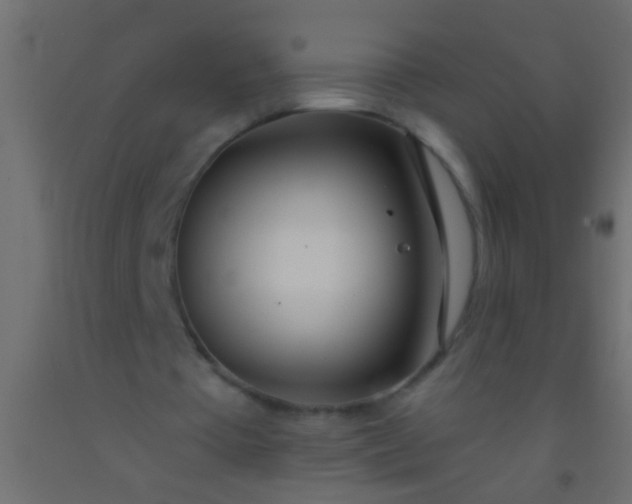 X0000093090385200710101522