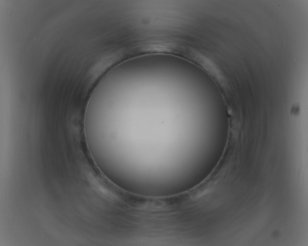 X0000093090386200710101522