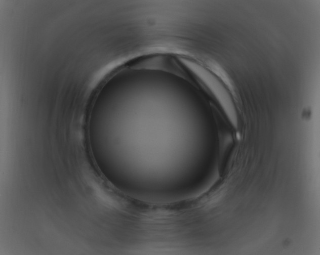 X0000093090387200710101522