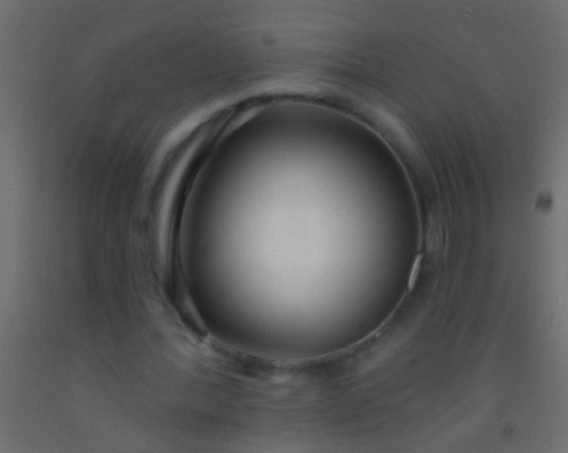 X0000093090388200710101522