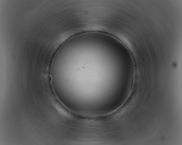 X0000093090389200710101522