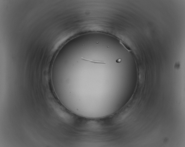 X0000093090390200710101522