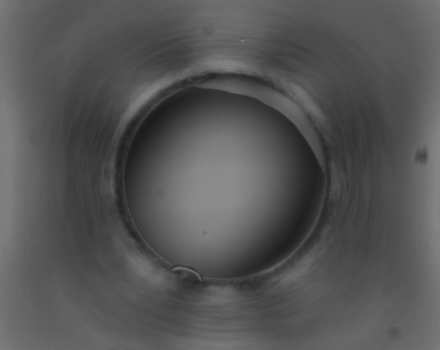 X0000093090391200710101522