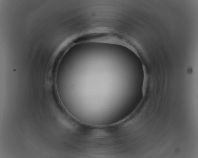 X0000093090392200710101522