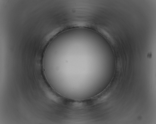 X0000093090394200710101521