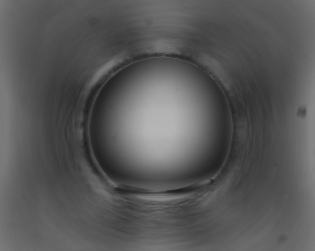 X0000093090395200710101521