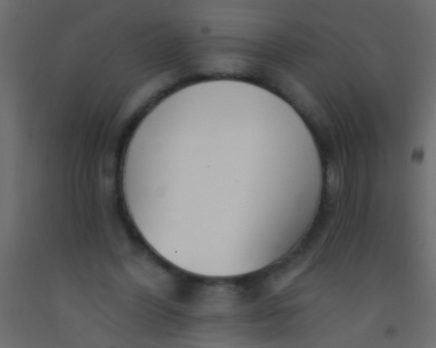 X0000093090396200710101521