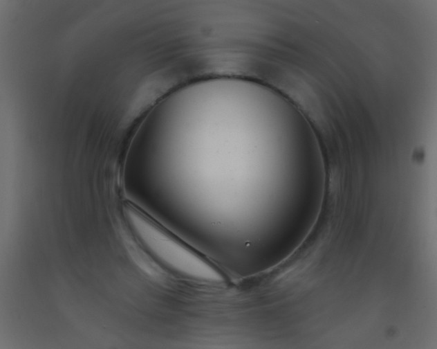 X0000093090397200710101521