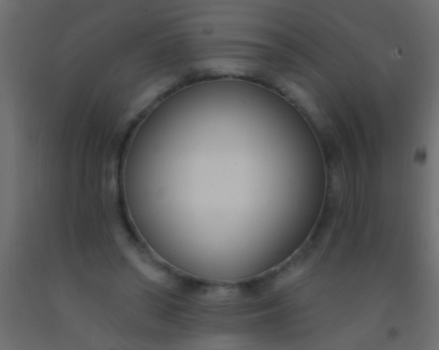 X0000093090398200710101521