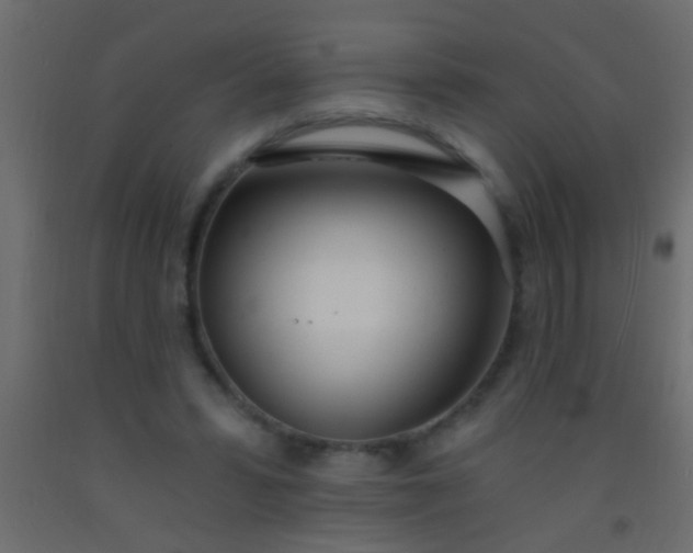 X0000093090399200710101521