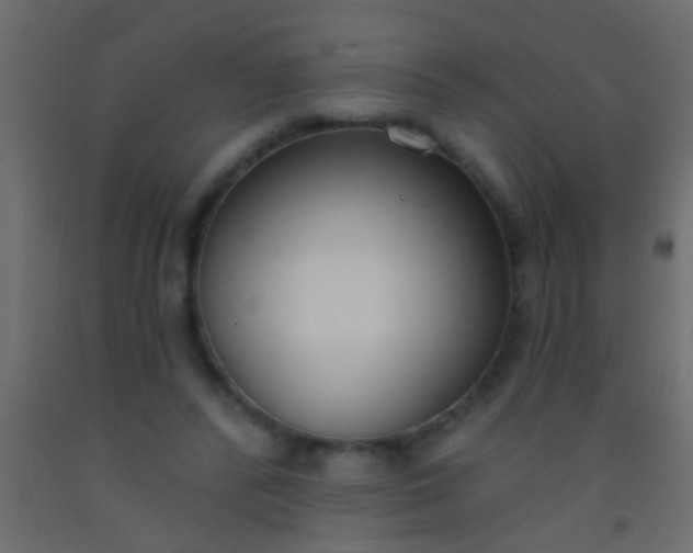 X0000093090400200710101521