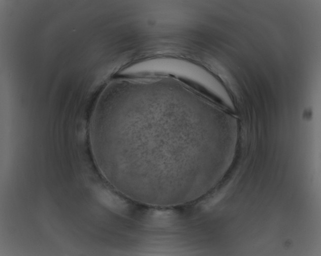 X0000093090401200710101521