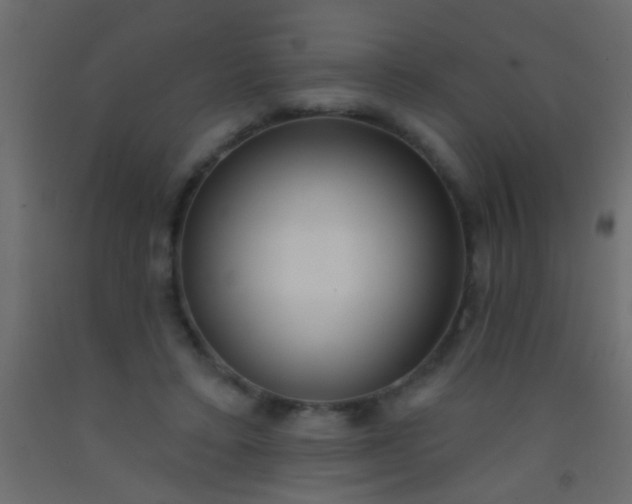 X0000093090403200710101521