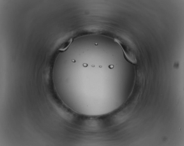 X0000093090404200710101521