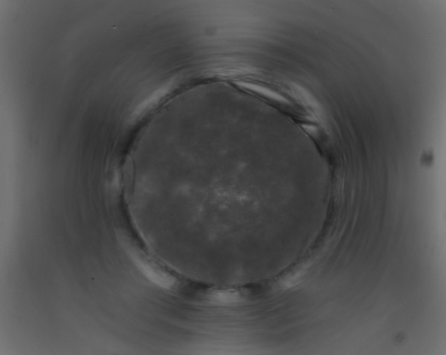 X0000093090405200710101521