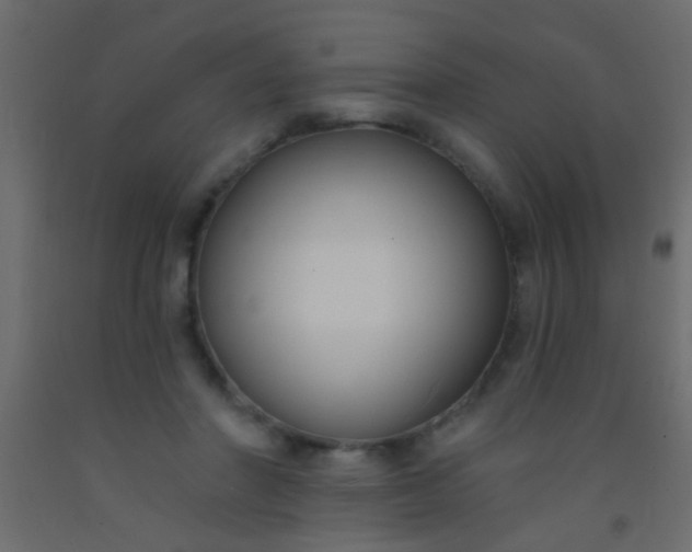 X0000093090406200710101521