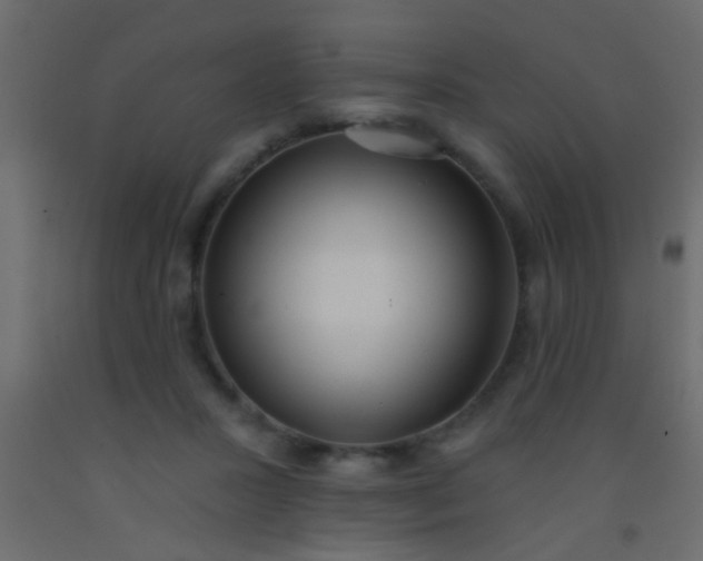 X0000093090407200710101521