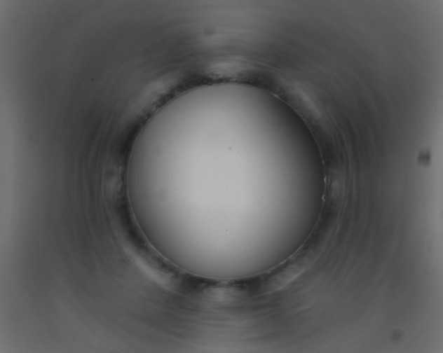 X0000093090408200710101521