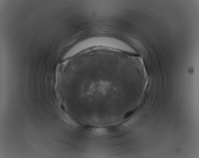 X0000093090409200710101521