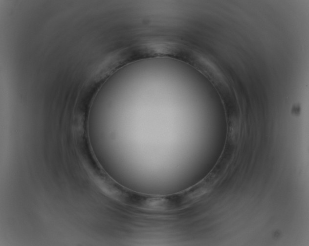 X0000093090410200710101521